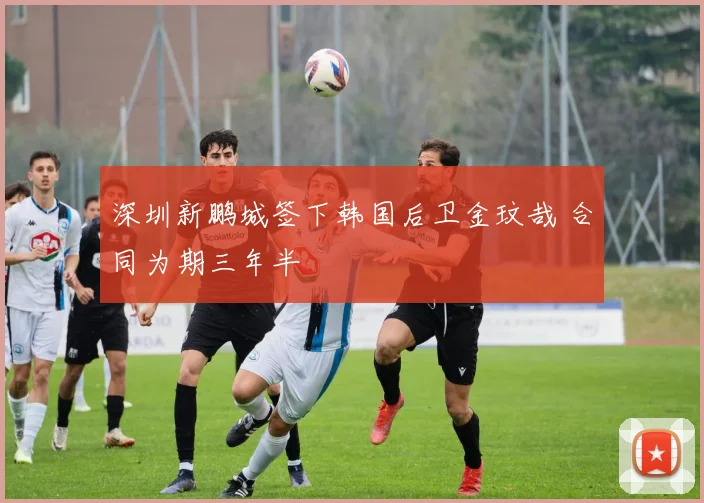 深圳新鹏城签下韩国后卫金玟哉 合同为期三年半